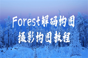 Forest解码构图摄影构图教程-何以博客